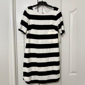 Eliza J Black and White Midi Dress - NEW WITH TAGS